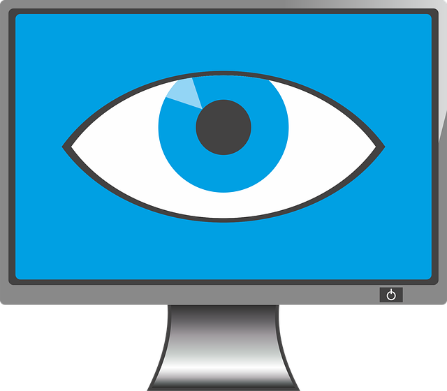 Un ojo en una pantalla. (C) https://pixabay.com/es/vectors/monitor-ojo-reloj-spy-2276053/ 